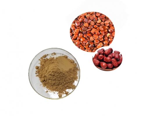 food grade raw materials jujube seed extract powder saponin supplier